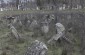 The Jewish cemetery in Orhei. The cemetery is approximately 400,000 square meters and it is surrounded by a broken  fence with a gate.© Markel Redondo- Yahad-In Unum